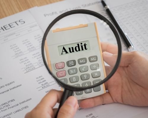Tax audit